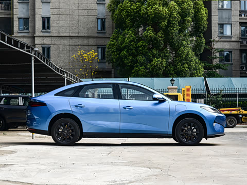 2025�� 520�ǻݳ��а�