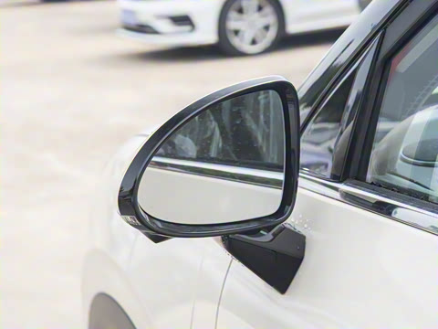 2025�� 325km ������