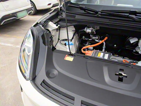 2025�� 325km ������