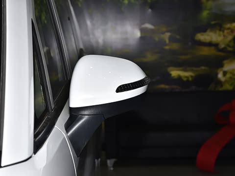 2025�� 2.0L CNG��Ӣ�� 9��