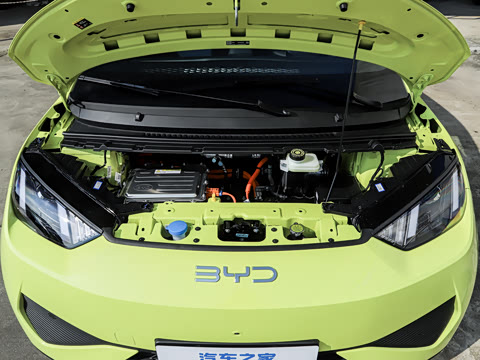 2026�� 305km ������