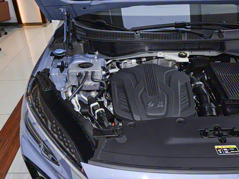 2024�� 115km ��Ϊ��