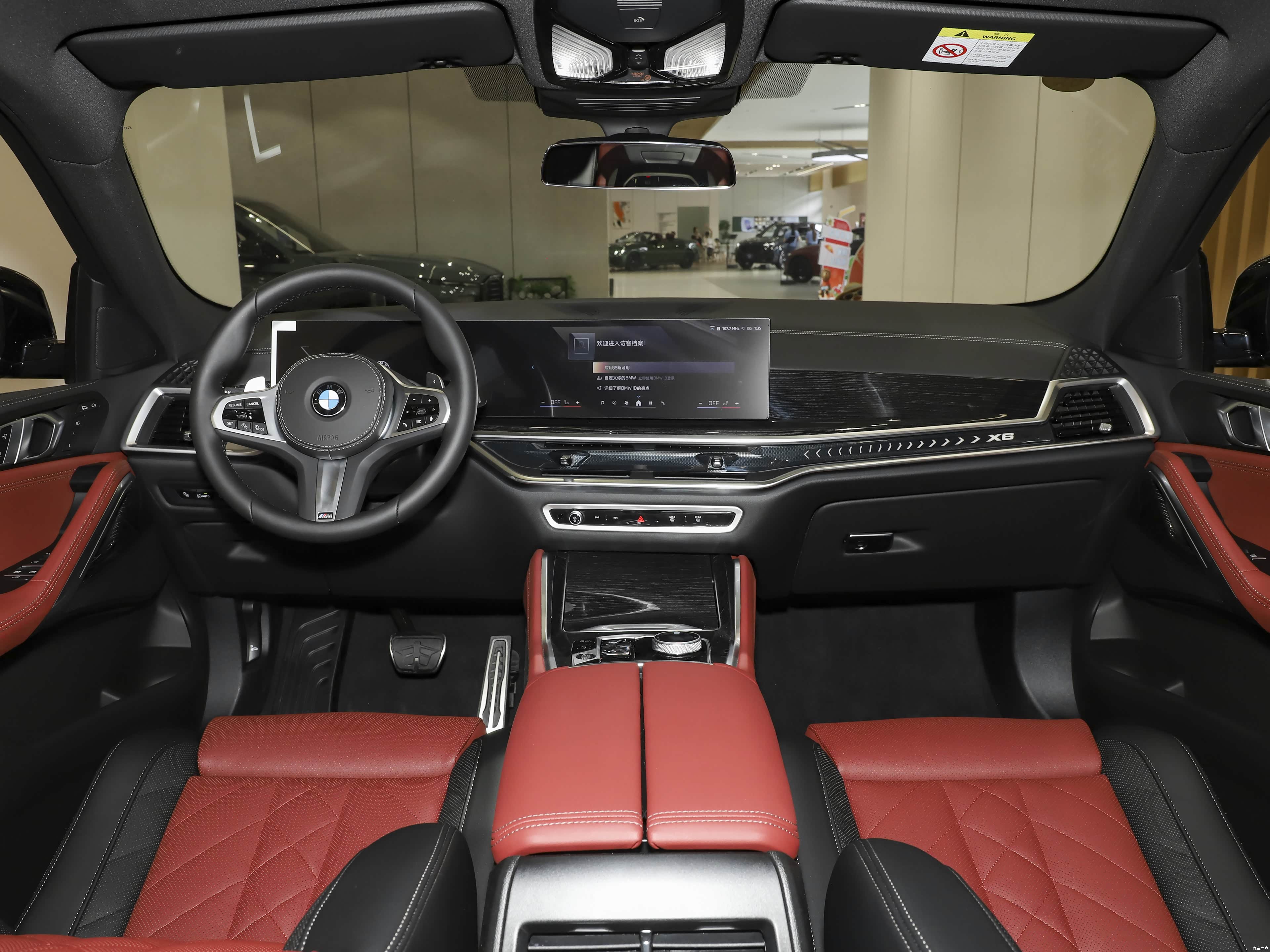 BMW X6, миниатюра 8