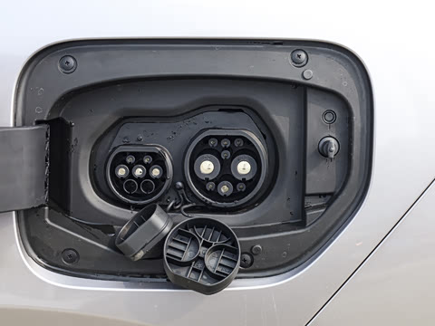 2026�� ������ JOY