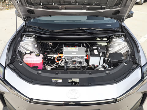 2026�� ������ JOY