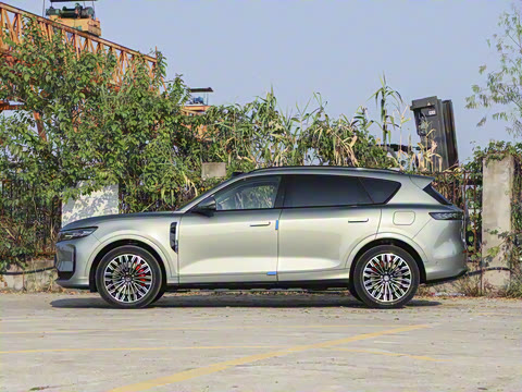 2025�� FREE+ ����Ǭ����