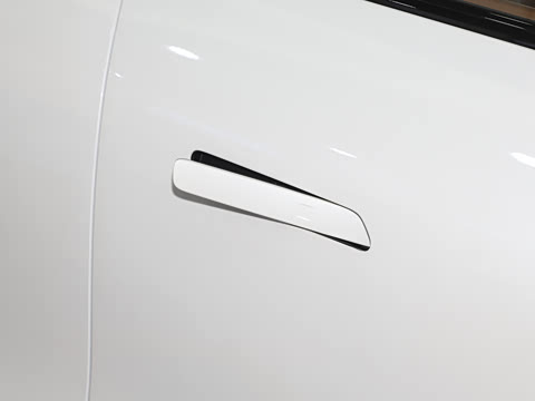 2025�� 825 Max��