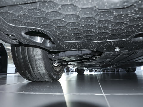 2025�� 300L �����������ǰ�