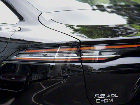 2025�� 260��������������