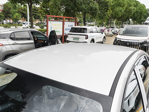 2026�� 535 MAX�����