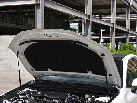 2026�� ˫�� 2.0HXS �˶�Plus��