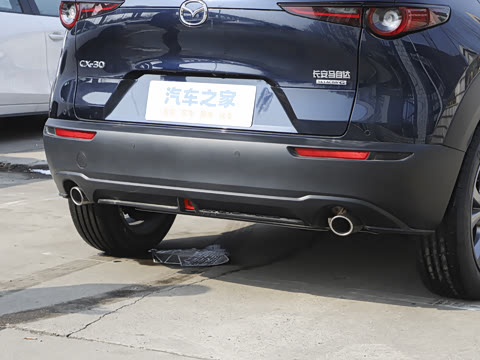 2025�� 2.0L �Զ�������