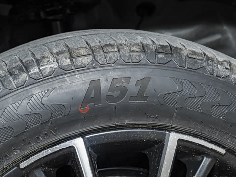 2025�� 290T ��������+