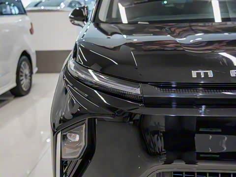 2025�� ���� �������������� ����