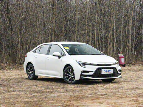 2026�� ����L ���Ͱ� 2.0L ����PLUS��