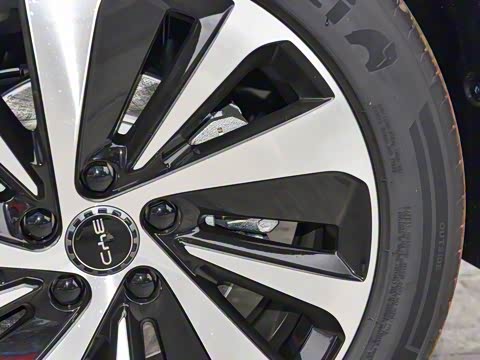 2025�� DM-i 121�캽��