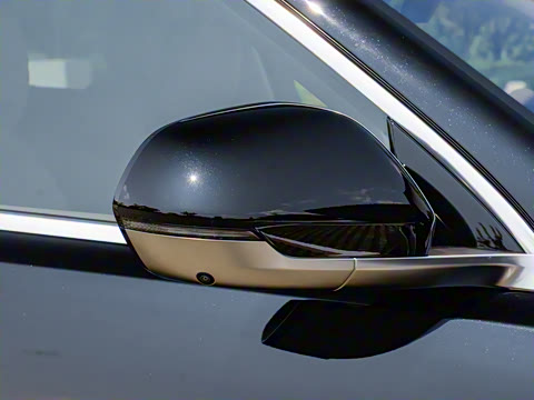 2025�� ���� Max+ ������������ 