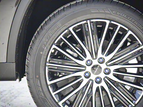 2025�� 300T ������ҹ��