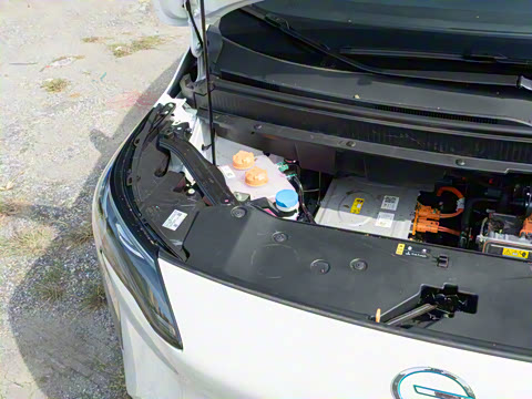 2025�� Plus 430 ������