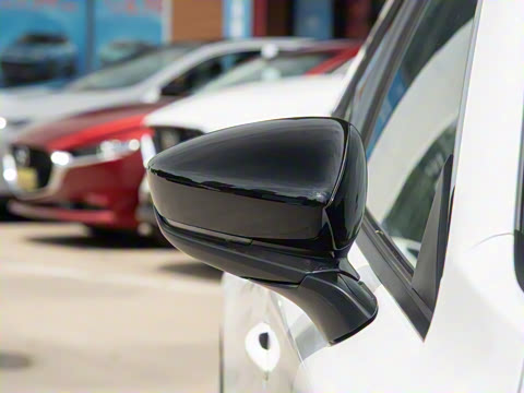 2025�� 2.0L �Զ������