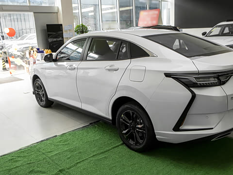 2025�� 1.5L ׿Խ��