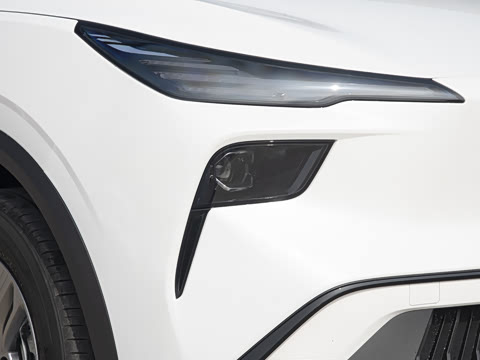 2025�� 565km ������