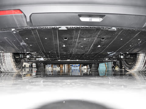 2026�� 520�Ǻ���