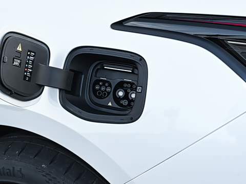 2026��   95������ Max��