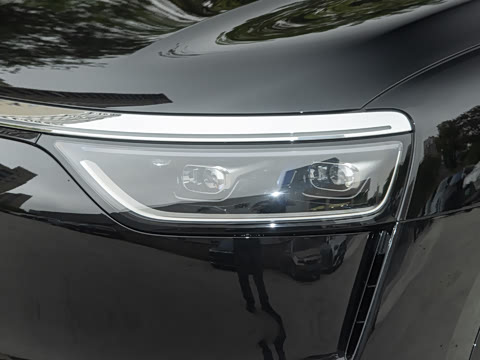 2025�� ���� Max+ ������������ 