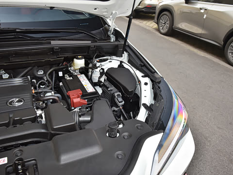 2026�� 200 ��ɫ�޶���