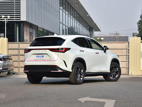 2026�� 200 ��ɫ�޶���