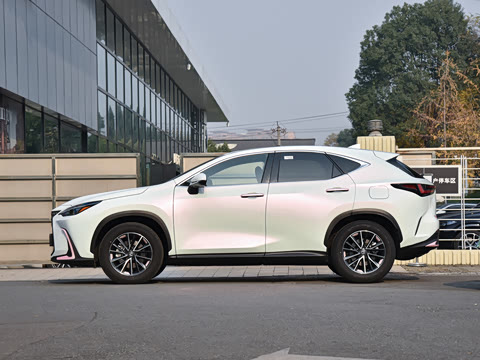 2026�� 200 ��ɫ�޶���