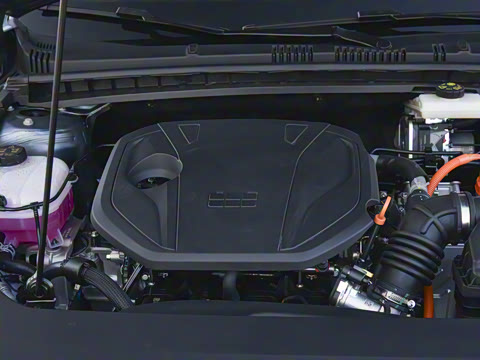 2026�� 125kmԶ����