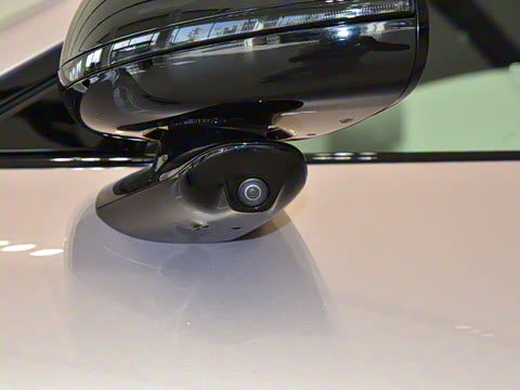 2025�� ������������Pro��