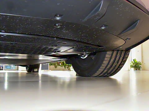 2025�� ������������Pro��