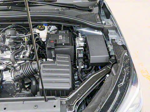 2026�� 1.5L �ֶ�������