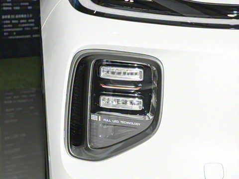 2025�� 145��ҫ��