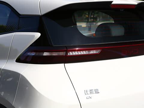 2026�� 305km ���ɰ�