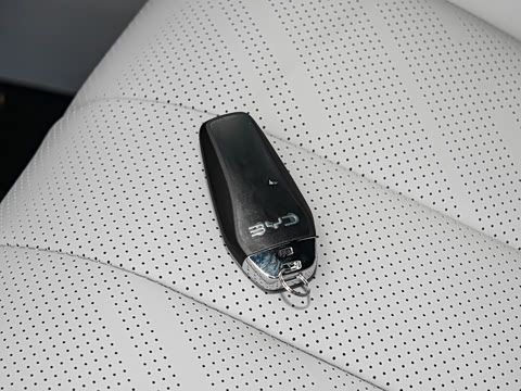 2026�� DM-i 310KM ��Խ��