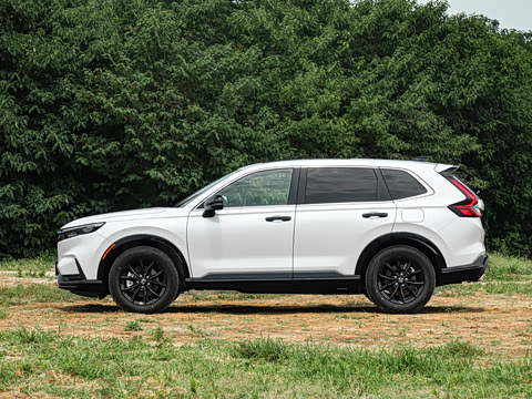 2026�� ȫ��30����ҫ�� �춯 2.0L �������ݰ�