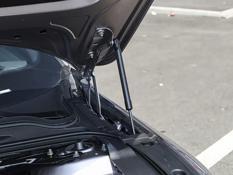 2026�� �����������̰� 310�콢��