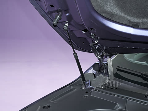 2026�� ���� 81kWh