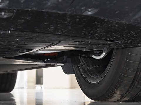 2025�� ������������Pro��