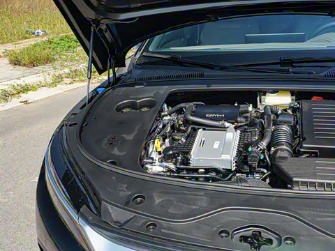 2025�� DM-i �Ǽݰ� 245KM�����