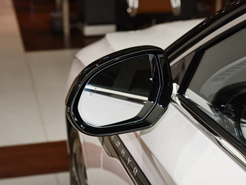 2025�� 2.0T ���ݰ�