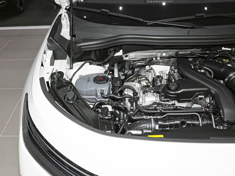 2026�� ̽��L 300TSI ������Ӣ