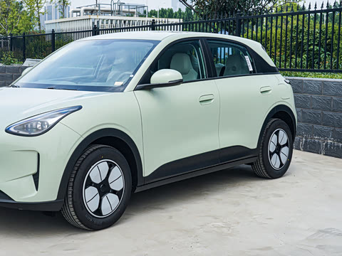 2026�� 310km ������