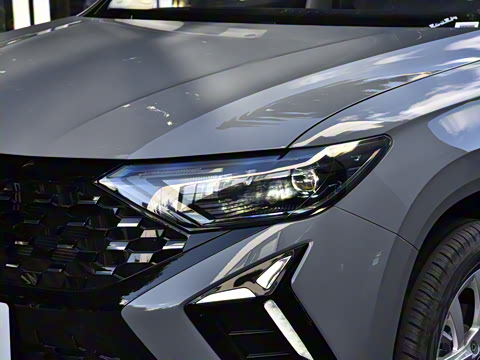 2026�� 280TSI �Զ��ȷ��