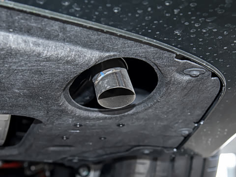 2025�� ���� Max��������