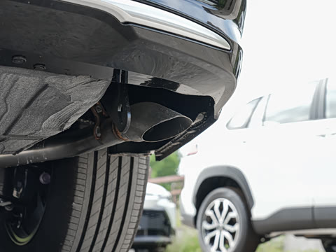 2026�� 2.5L ˫������������